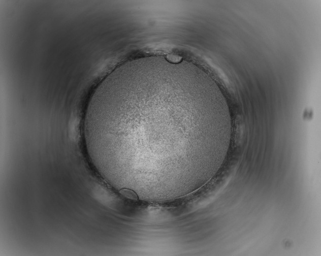 X0000102850641200808251203