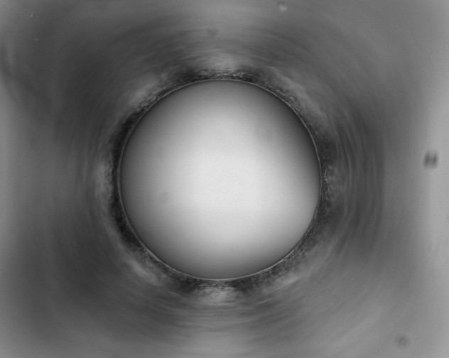 X0000102850642200808251203