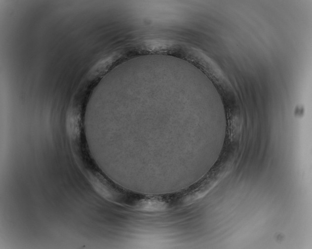 X0000102850644200808251203