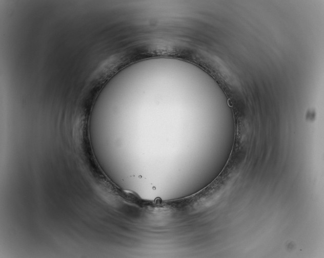 X0000102850645200808251203