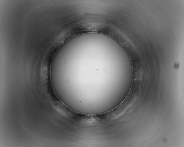 X0000102850646200808251203