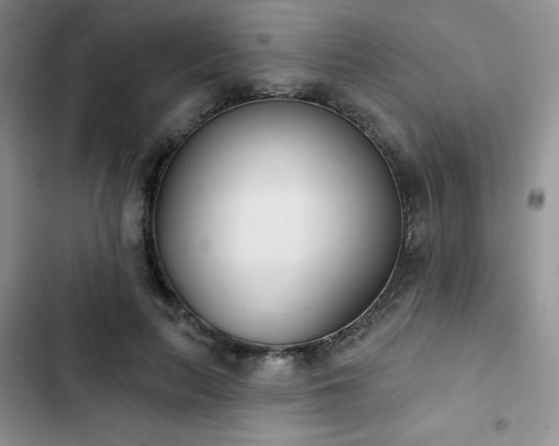 X0000102850647200808251203