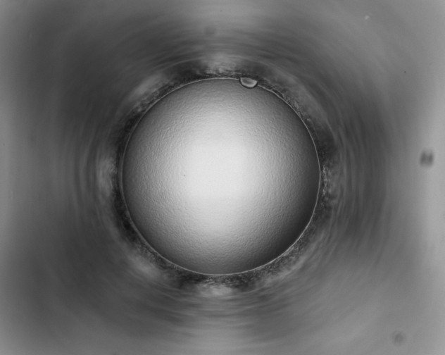 X0000102850648200808251203