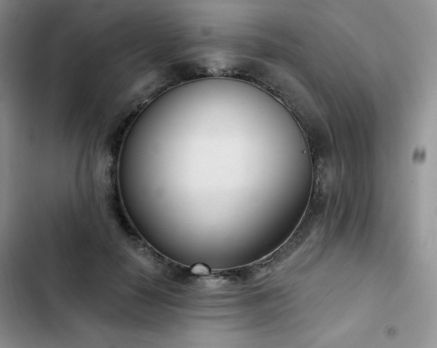 X0000102850650200808251203