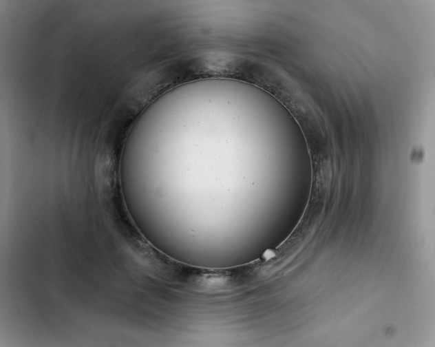 X0000102850651200808251203