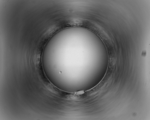 X0000102850652200808251203