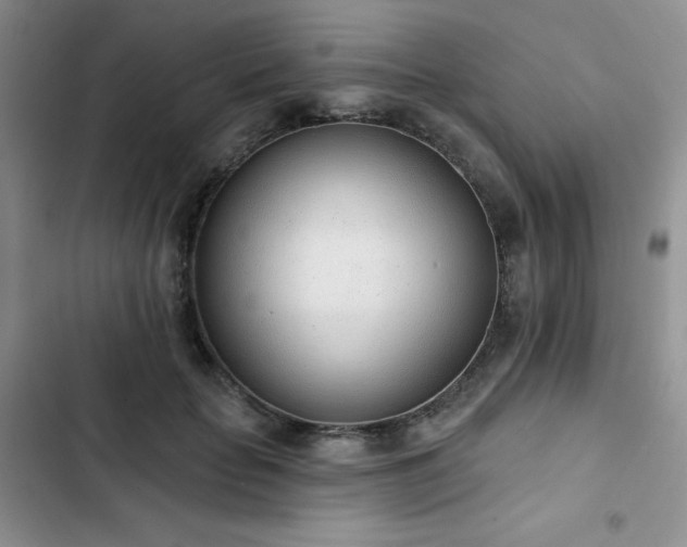 X0000102850653200808251203