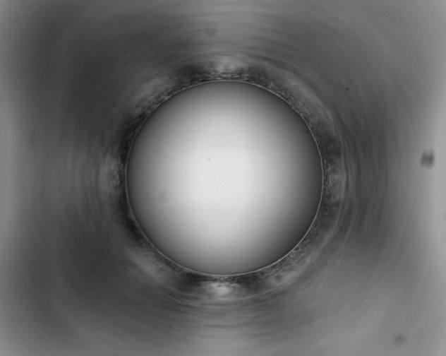 X0000102850654200808251203