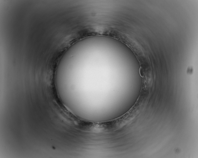 X0000102850656200808251203