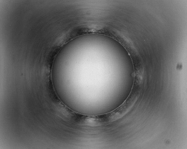 X0000102850657200808251203