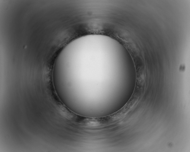 X0000102850658200808251203