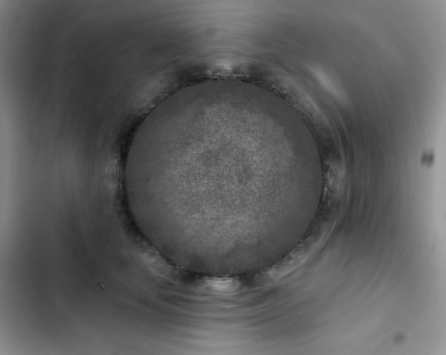 X0000102850659200808251204