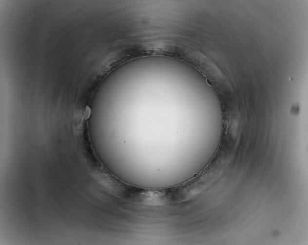 X0000102850660200808251204
