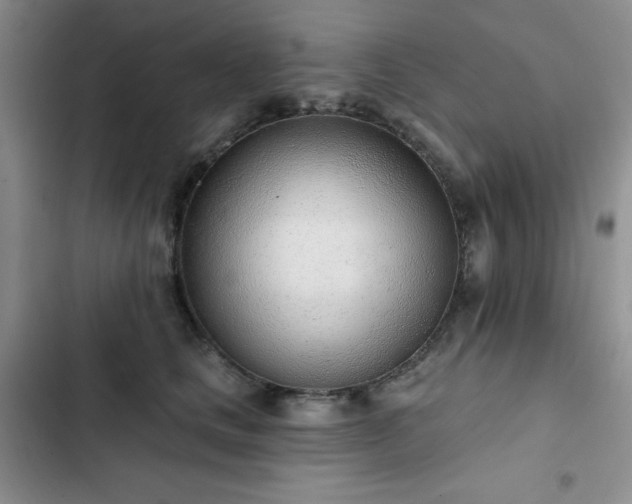 X0000102850661200808251204