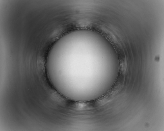 X0000102850662200808251204