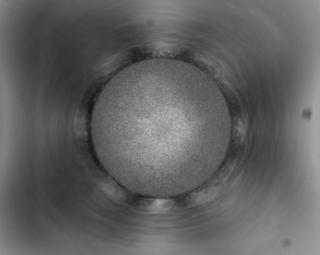 X0000102850663200808251204
