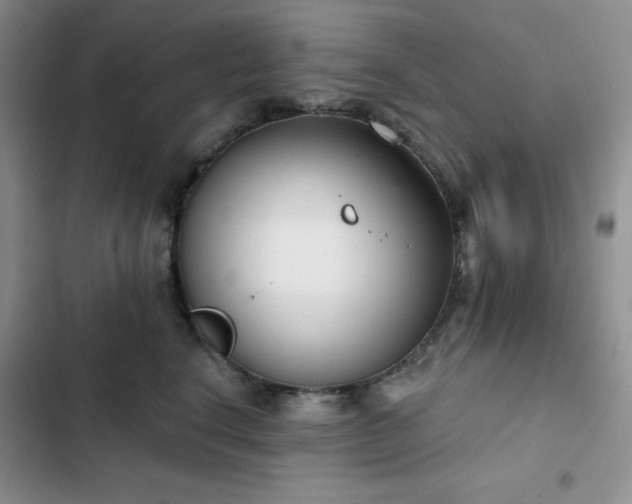 X0000102850664200808251204