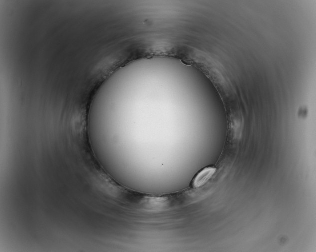 X0000102850665200808251204