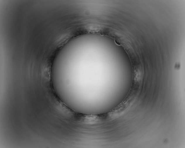X0000102850666200808251204