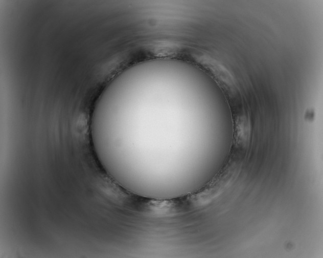 X0000102850667200808251204