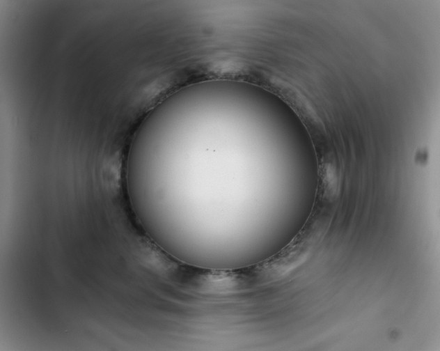 X0000102850668200808251204
