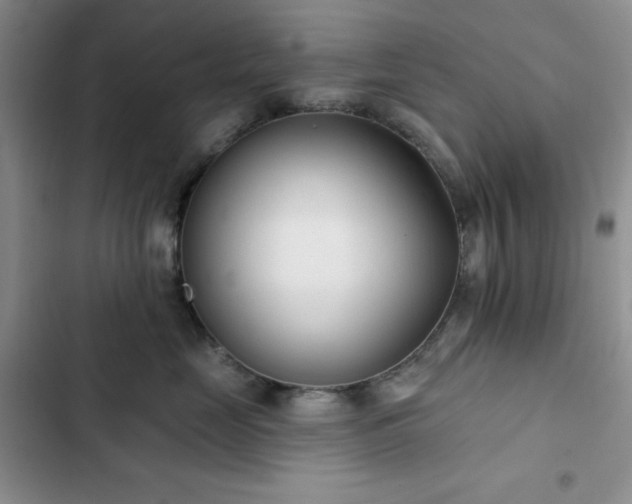 X0000102850669200808251204