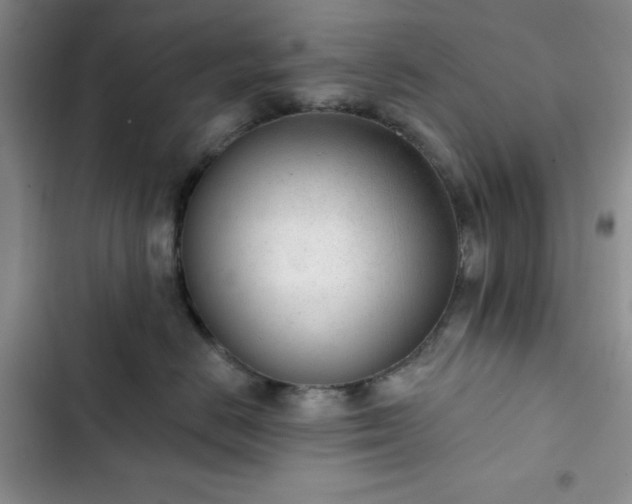X0000102850670200808251204