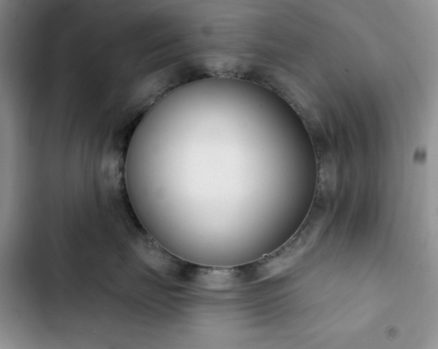 X0000102850671200808251204