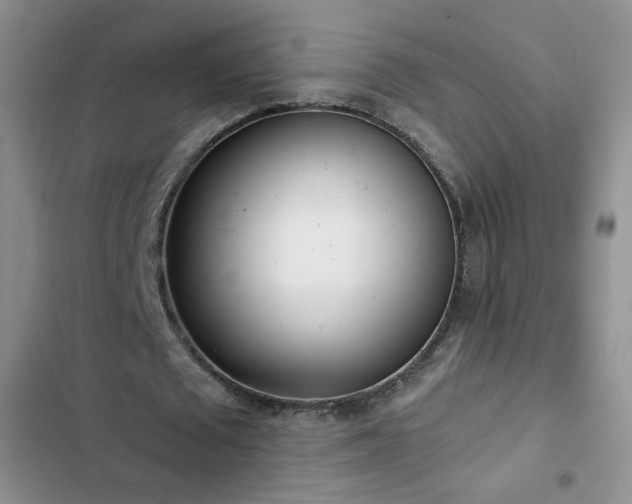 X0000102850673200808251203