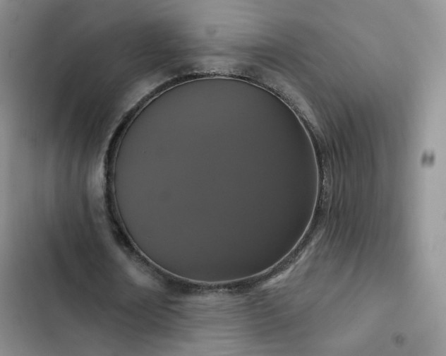 X0000102850674200808251203