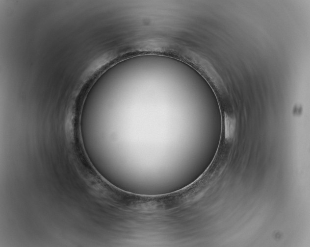 X0000102850675200808251203