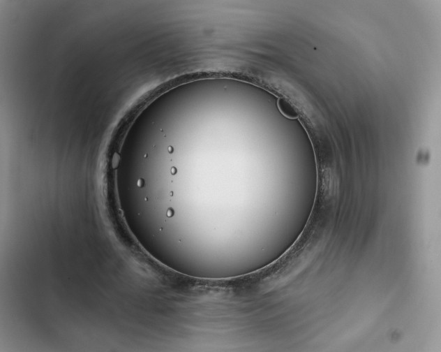 X0000102850676200808251203