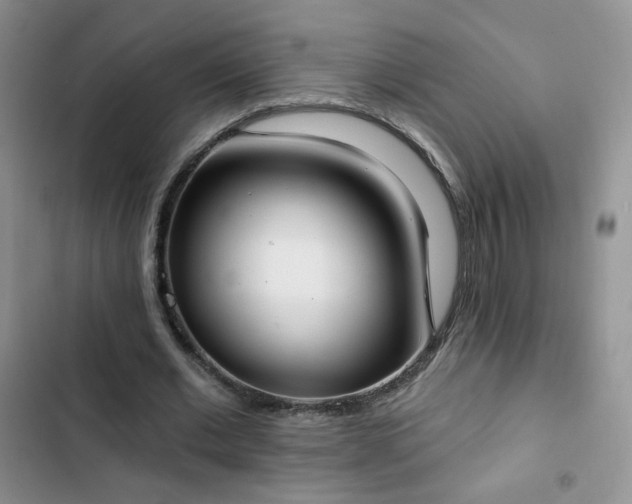X0000102850677200808251203