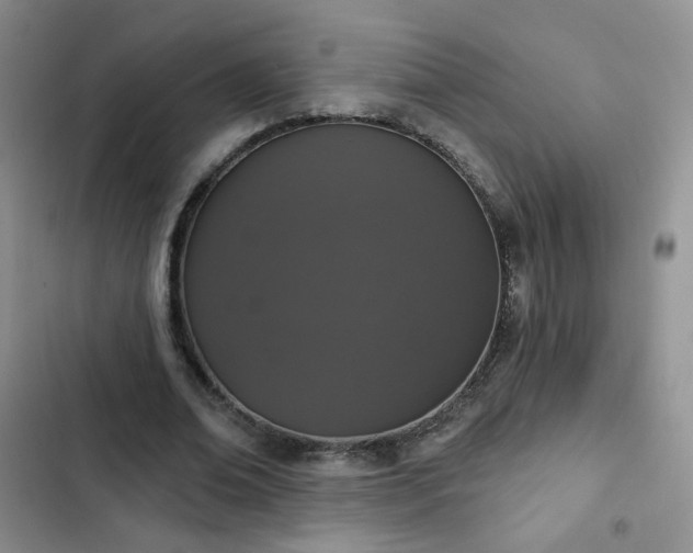 X0000102850678200808251203
