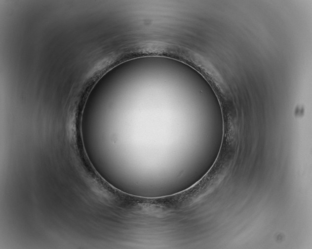 X0000102850681200808251203