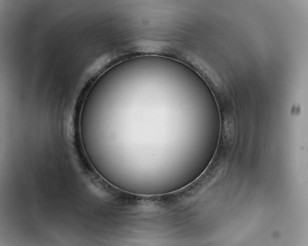 X0000102850682200808251203
