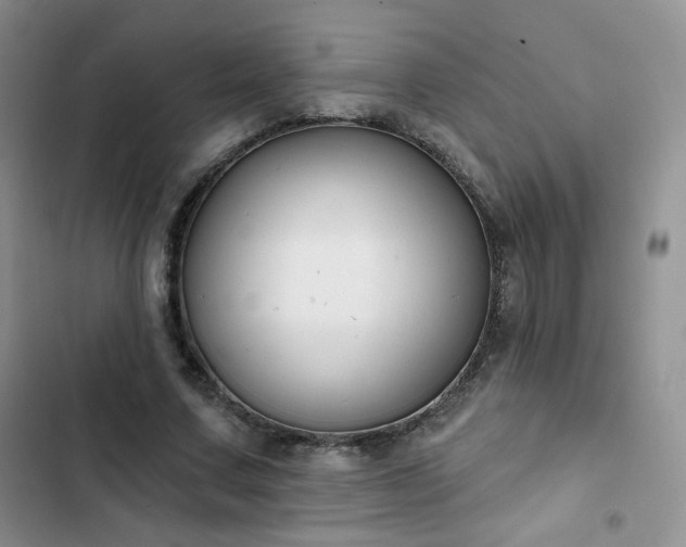 X0000102850683200808251203