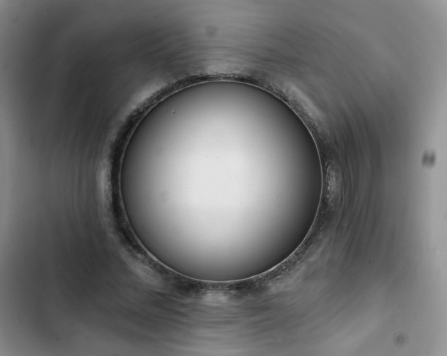 X0000102850684200808251203