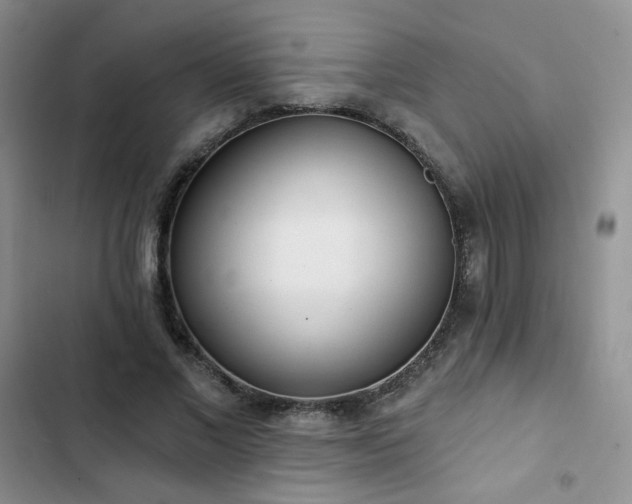 X0000102850685200808251203