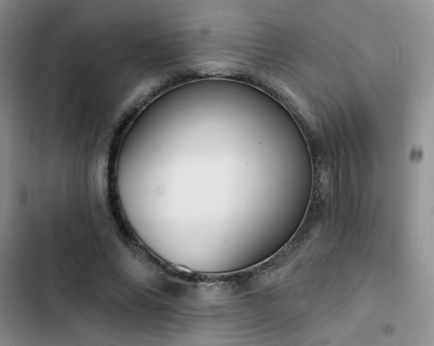 X0000102850686200808251203