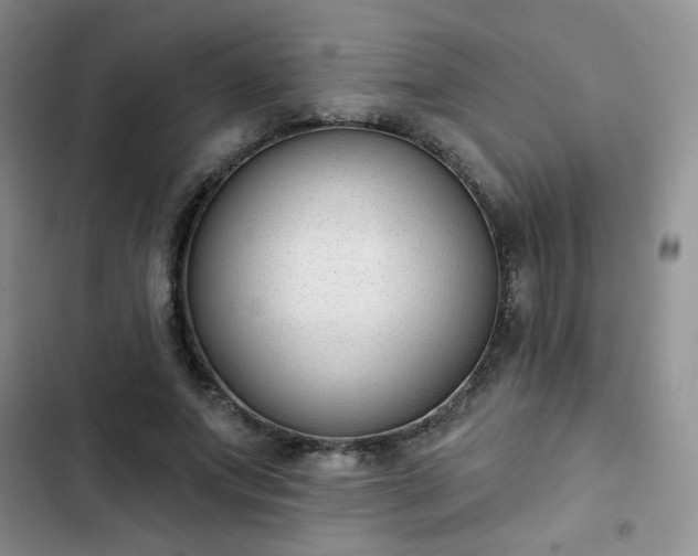 X0000102850687200808251203