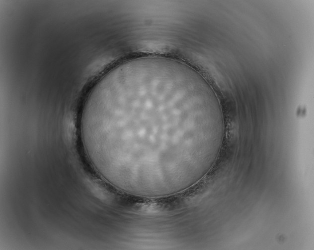 X0000102850688200808251203