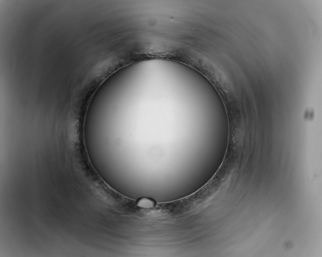 X0000102850689200808251203
