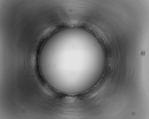 X0000102850690200808251203
