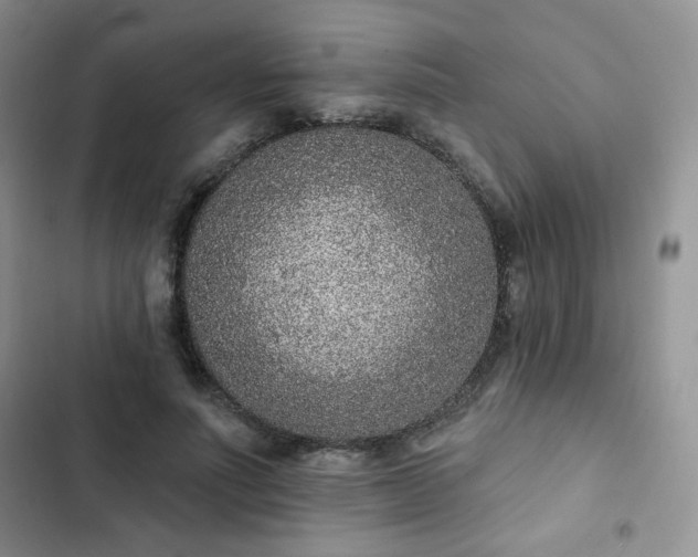 X0000102850691200808251203
