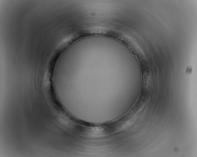 X0000102850692200808251203