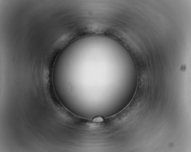 X0000102850693200808251203