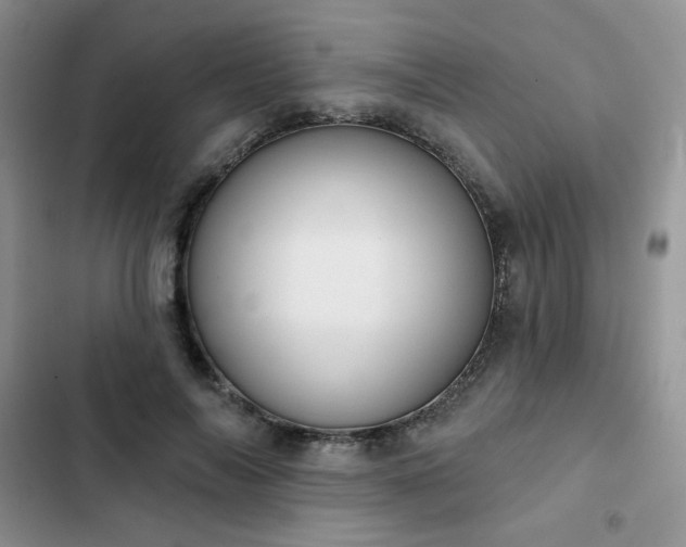 X0000102850694200808251203