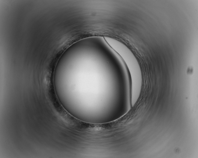 X0000102850695200808251203