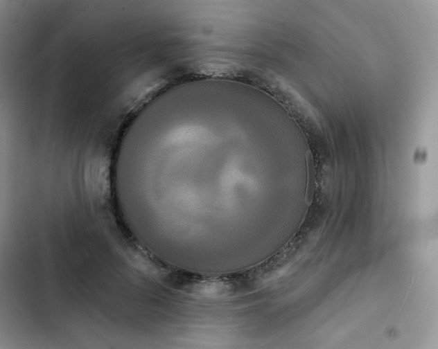 X0000102850696200808251203